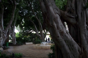 Enchanted Gardens