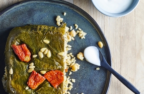 vineleafeskitchenette00   rotem nir